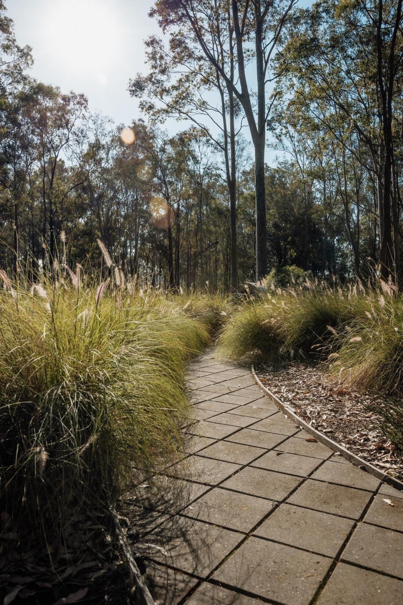 Vila Wild Woods At Pokolbin Exteriér fotografie